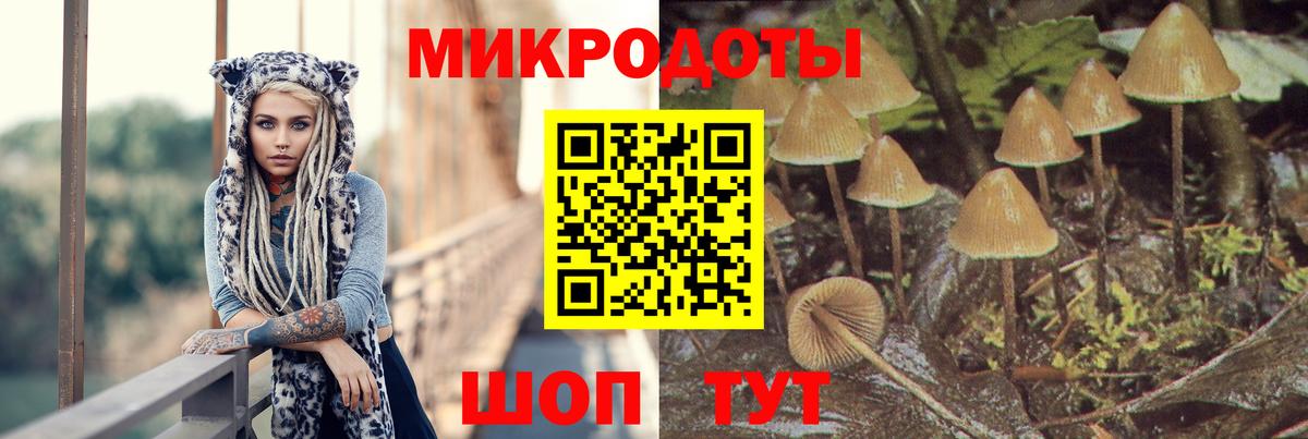 Псилоцибиновые грибы GOLDEN TEACHER Свободный
